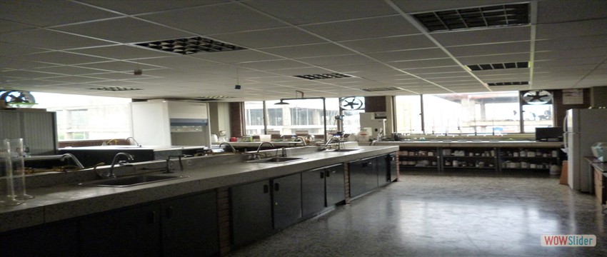 Laboratorio de Química