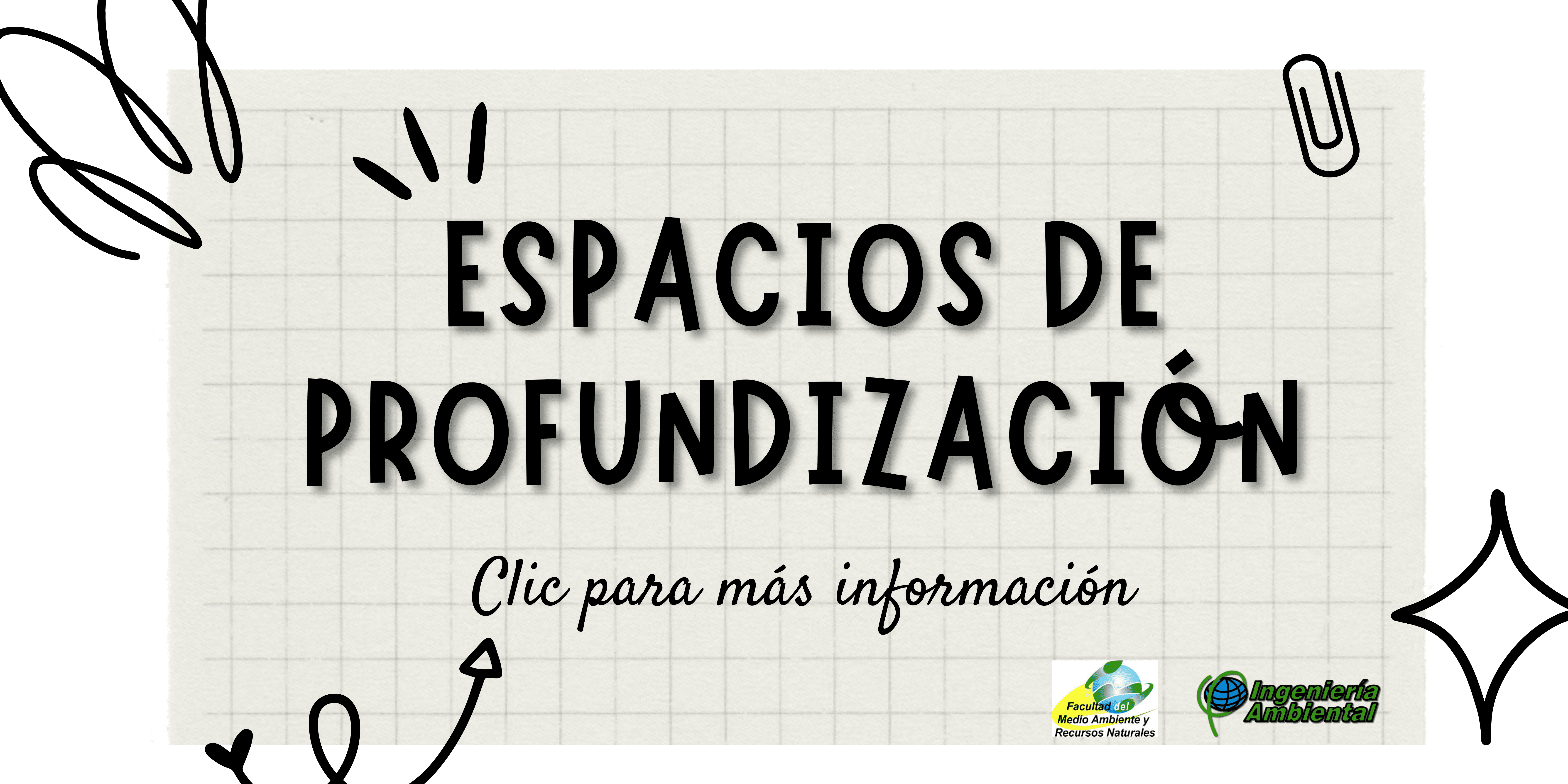  Espacio de profundización