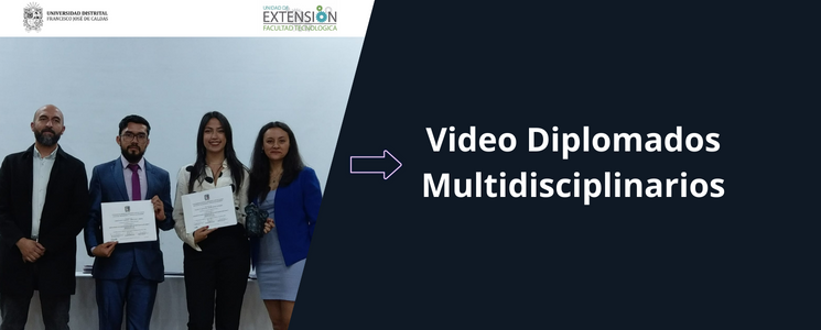  Video Diplomados Multidisciplinarios Universidad Distrital - Unidad de Extensión